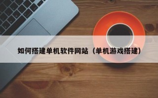 广汉如何搭建单机软件网站（单机游戏搭建）